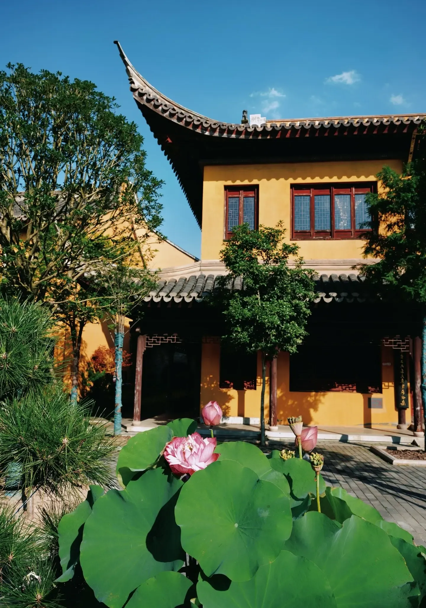 我这老头子,孤孤单单的,七十多了,从人民广场坐地