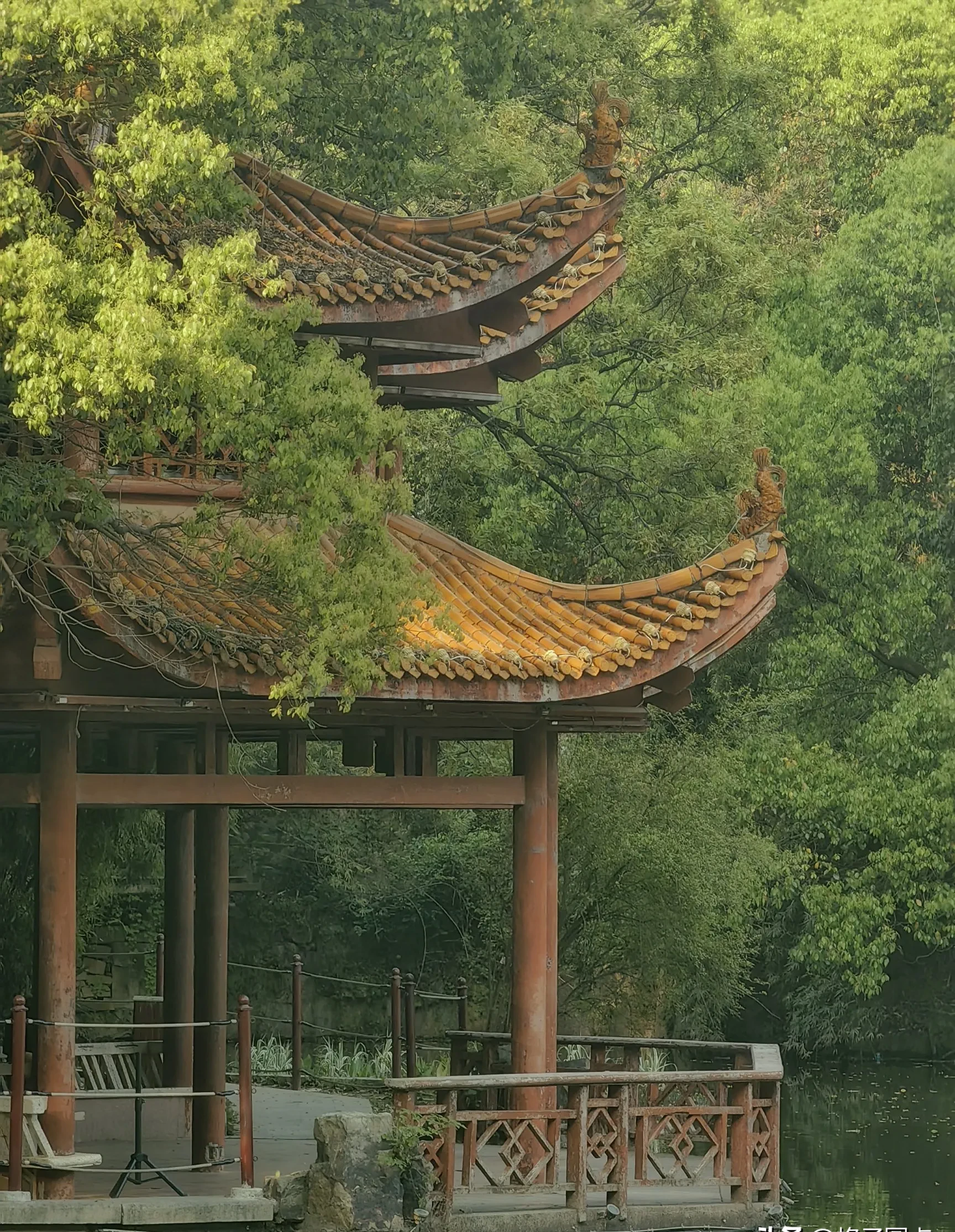 南郊公园的商业开发真是挺重的,山上的游乐场冷冷清清的,山下又新开了