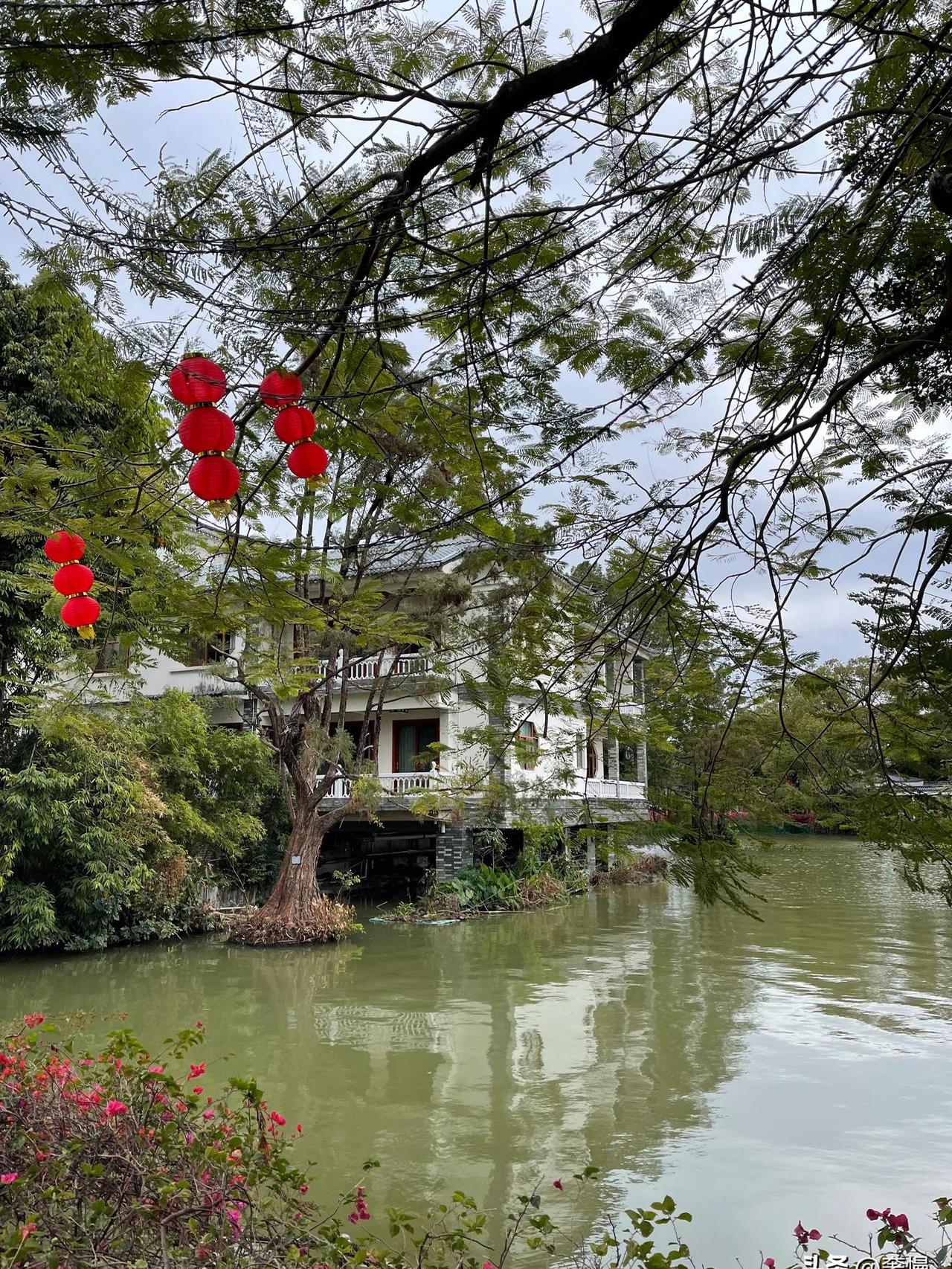 0版本锦鲤叼着东坡的诗句擦船而过;文笔塔下当代青年左手举咖啡右手