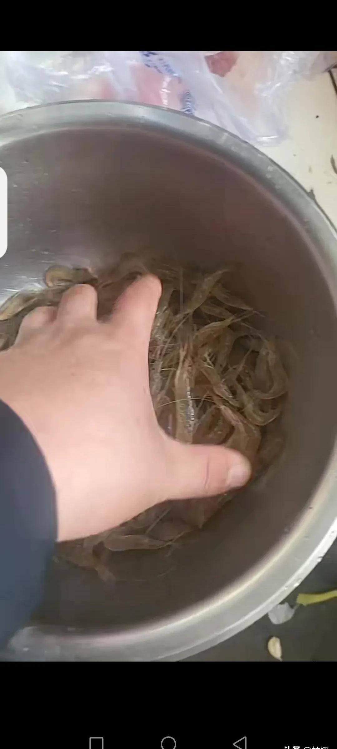 抖音小虾米=抖音小虾米直播的 170传奇