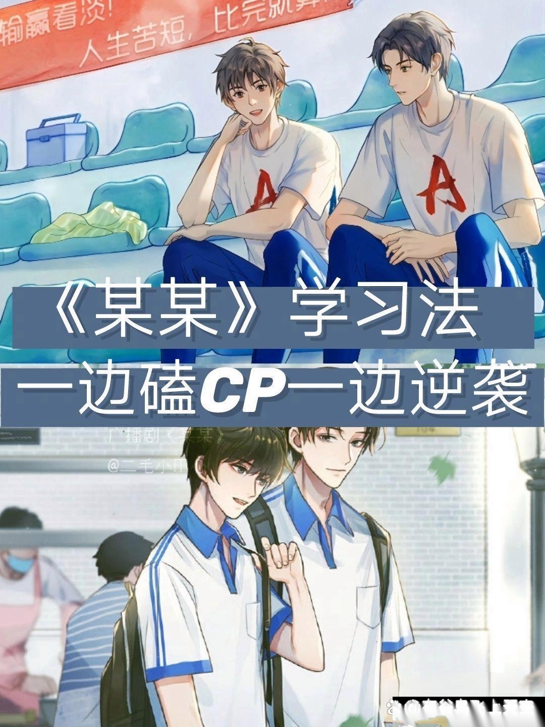 《某某》学习法?一边磕cp一边逆袭