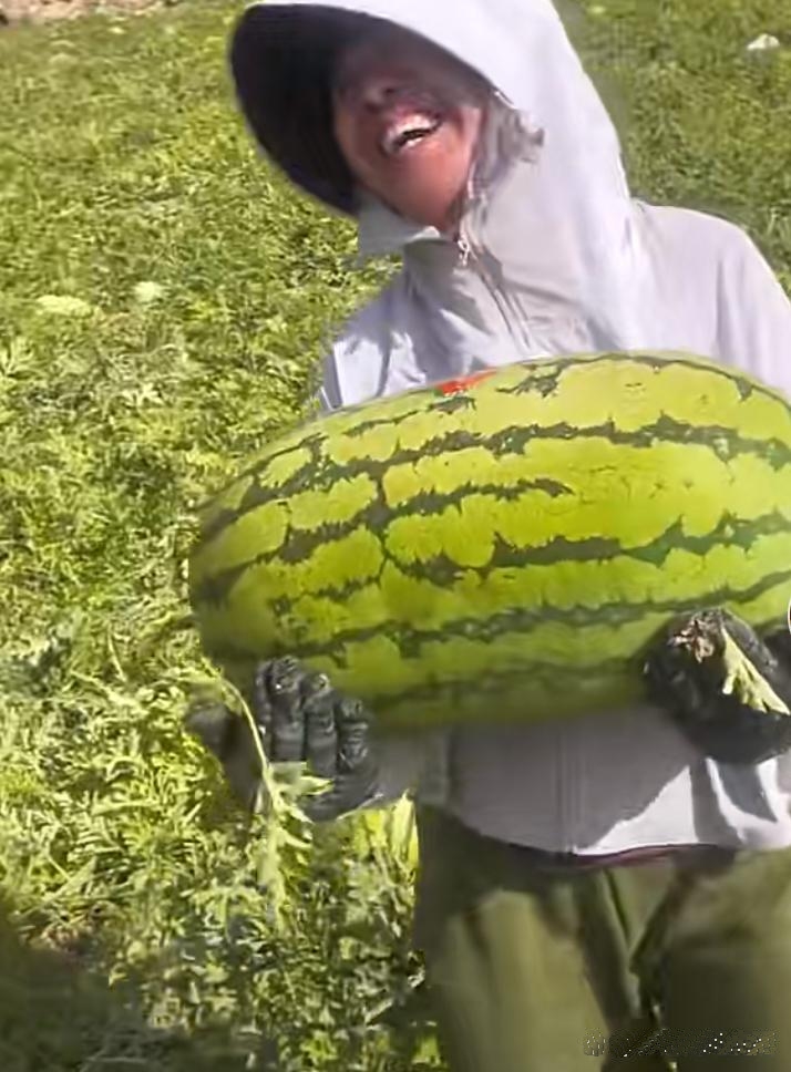 你曾经吃过的最大的西瓜有多大呢?