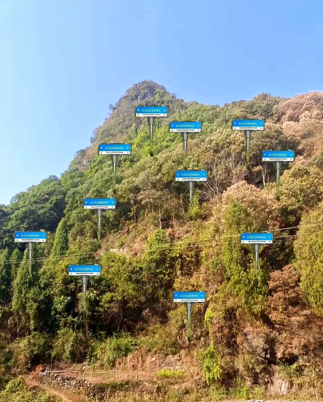 两广网友的各样整活