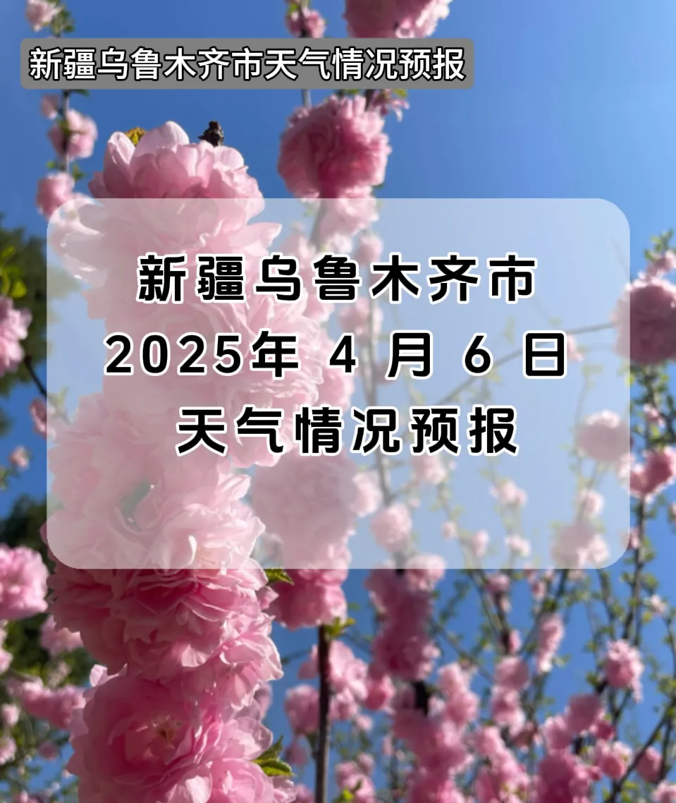 新疆天气天气大全
