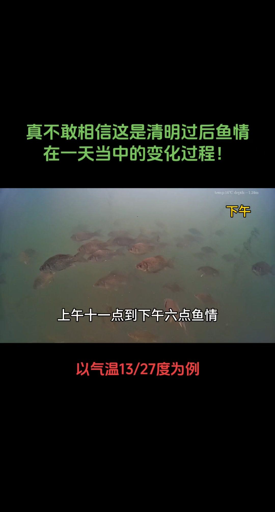 鱼死了超度的经文-鱼死了有没有什么说法