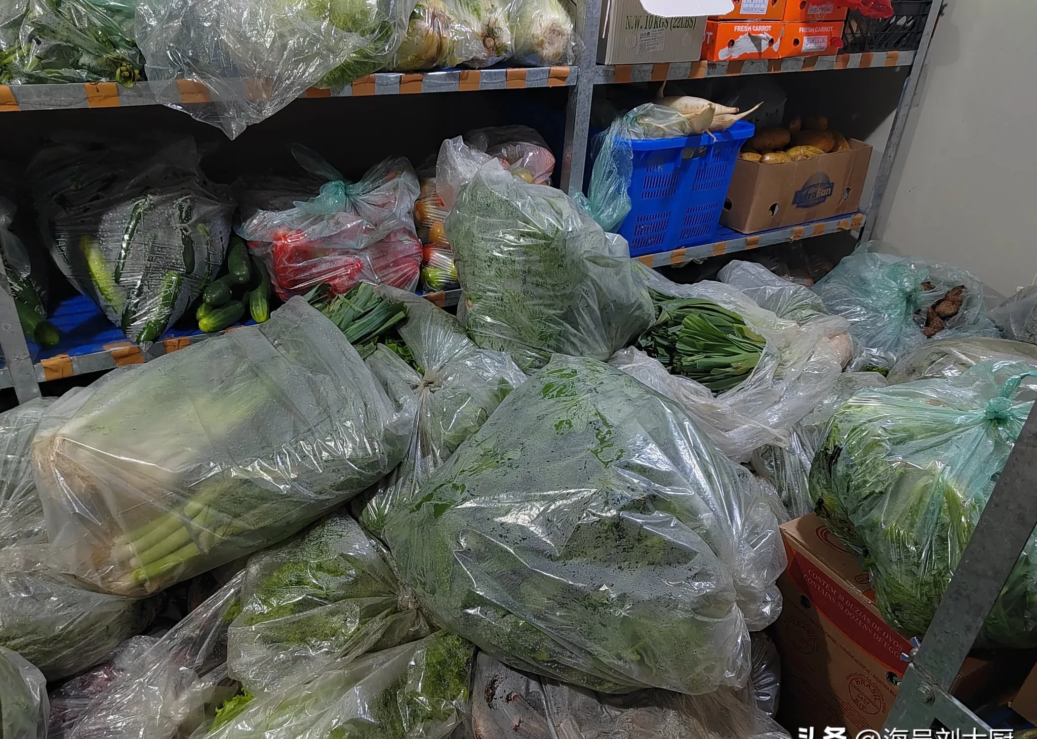 蔬菜全部是塑料袋装着给送来的,好像刚从市场上批发来的一样,一袋一袋