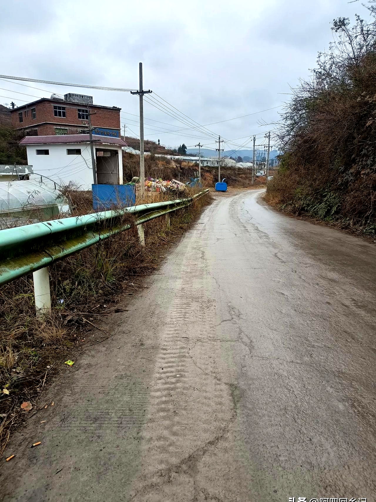 儿子刚学会走路大女儿就