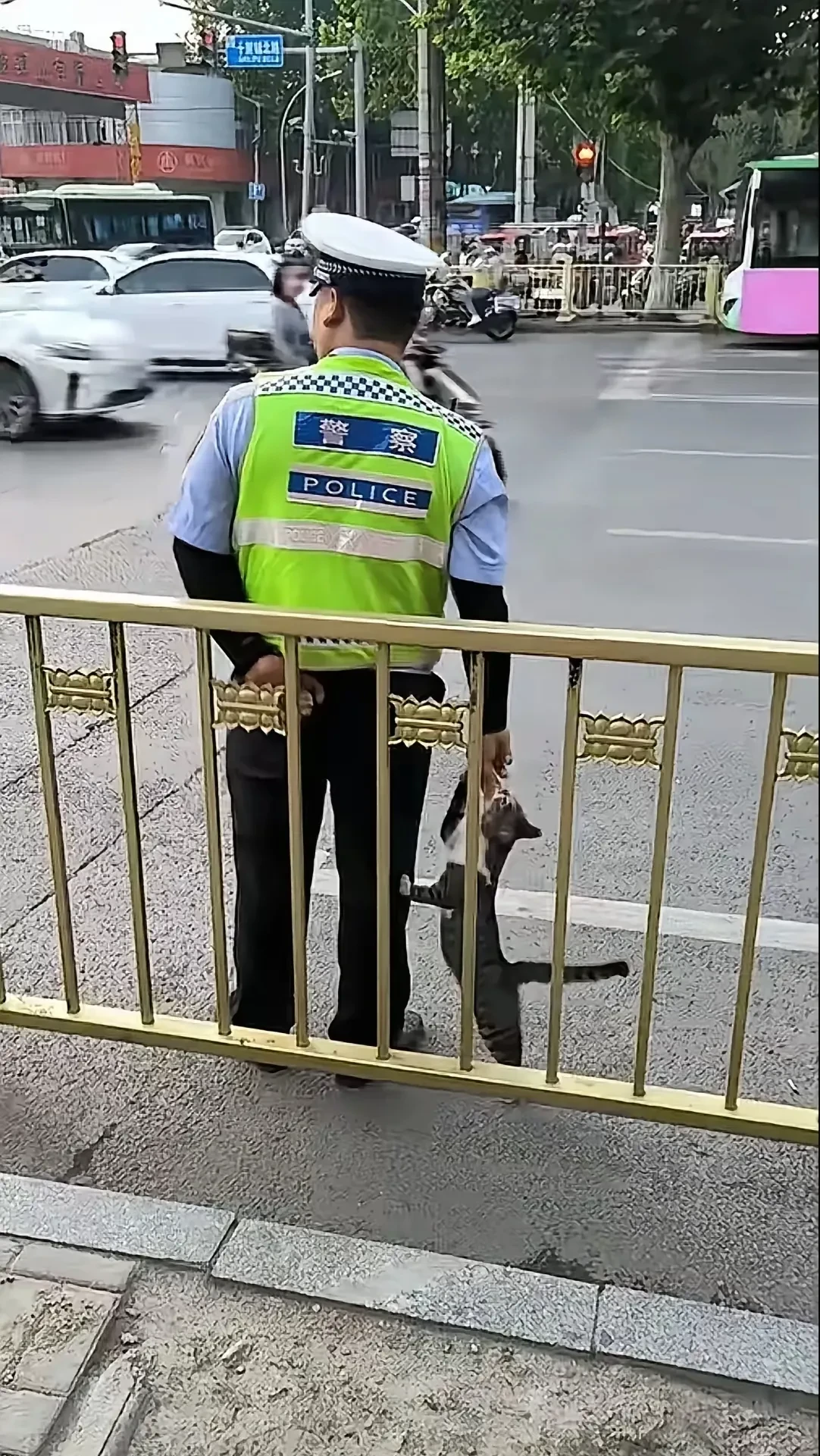 这不,我那位做交警的朋友,某天在执勤时,遇上了一