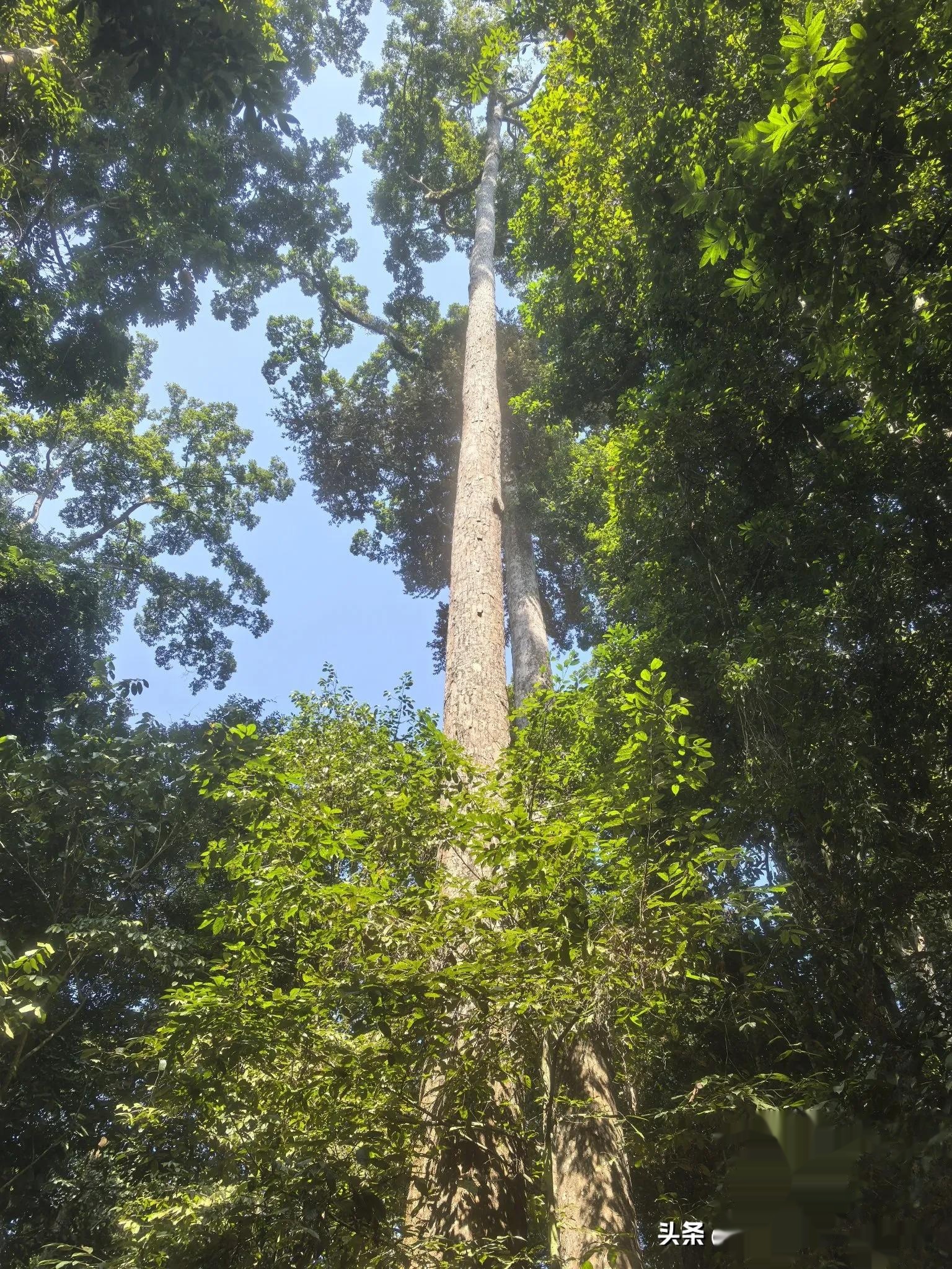 不知道大家注意到没,今年两会政府工作报告又出现了新