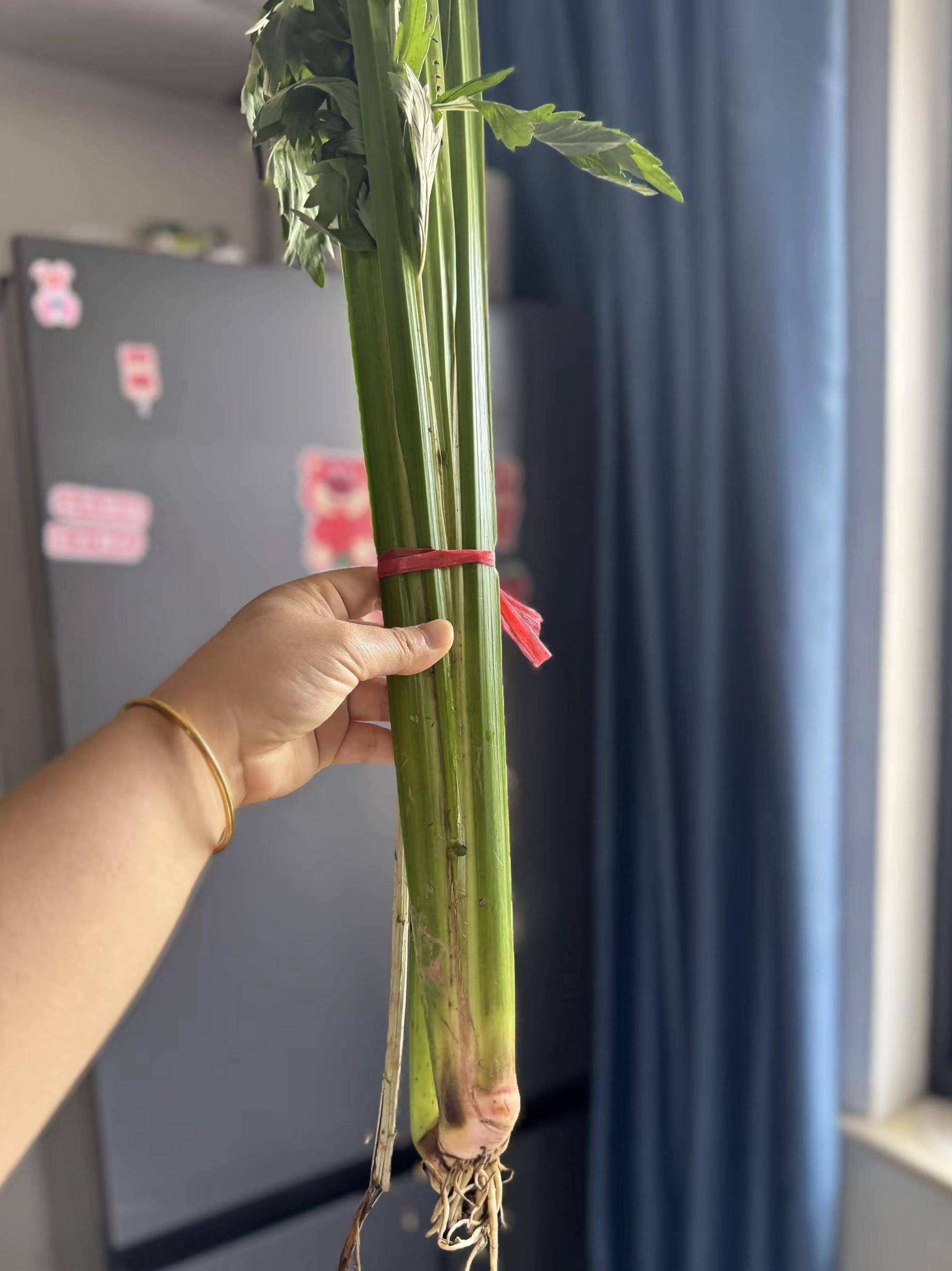 端午节习俗之驱五毒