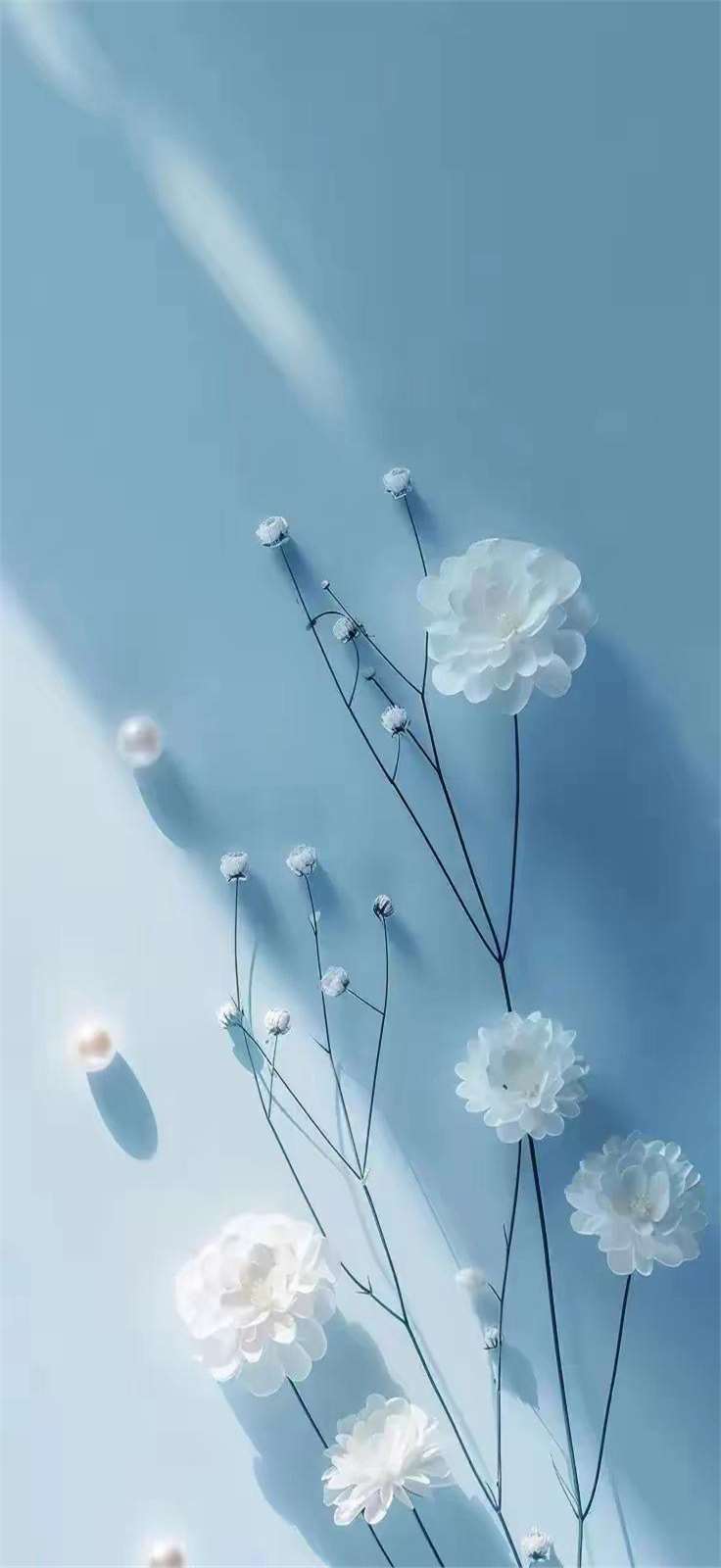 精美的淡蓝色的壁纸屏保手机背景墙的图片!