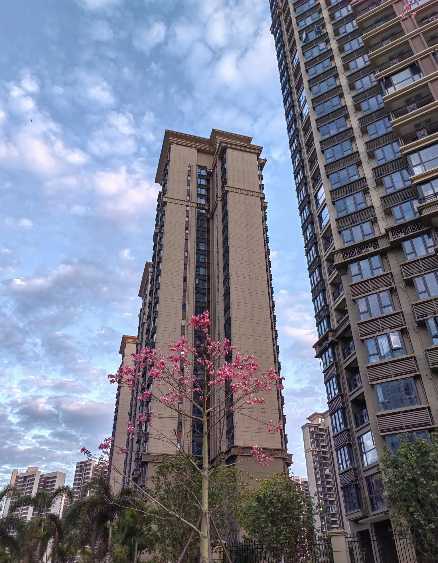 他们家住珠海,女儿在那上班,我去待了一个月,结果发现她跟女婿有个
