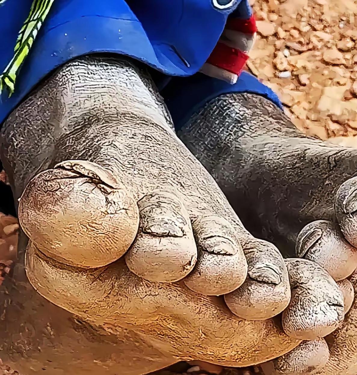 测测未来之路能否顺遂无忧!