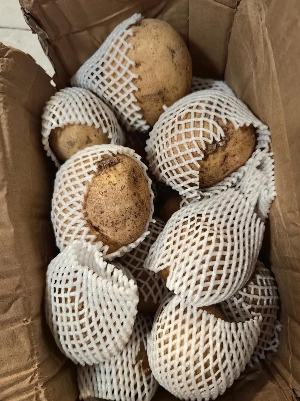 蜂蜜放冰箱冷藏还能吃吗(蜂蜜放冰箱冷藏还能吃吗为什么) 蜂蜜放冰箱冷藏还能吃吗(蜂蜜放冰箱冷藏还能吃吗为什么)