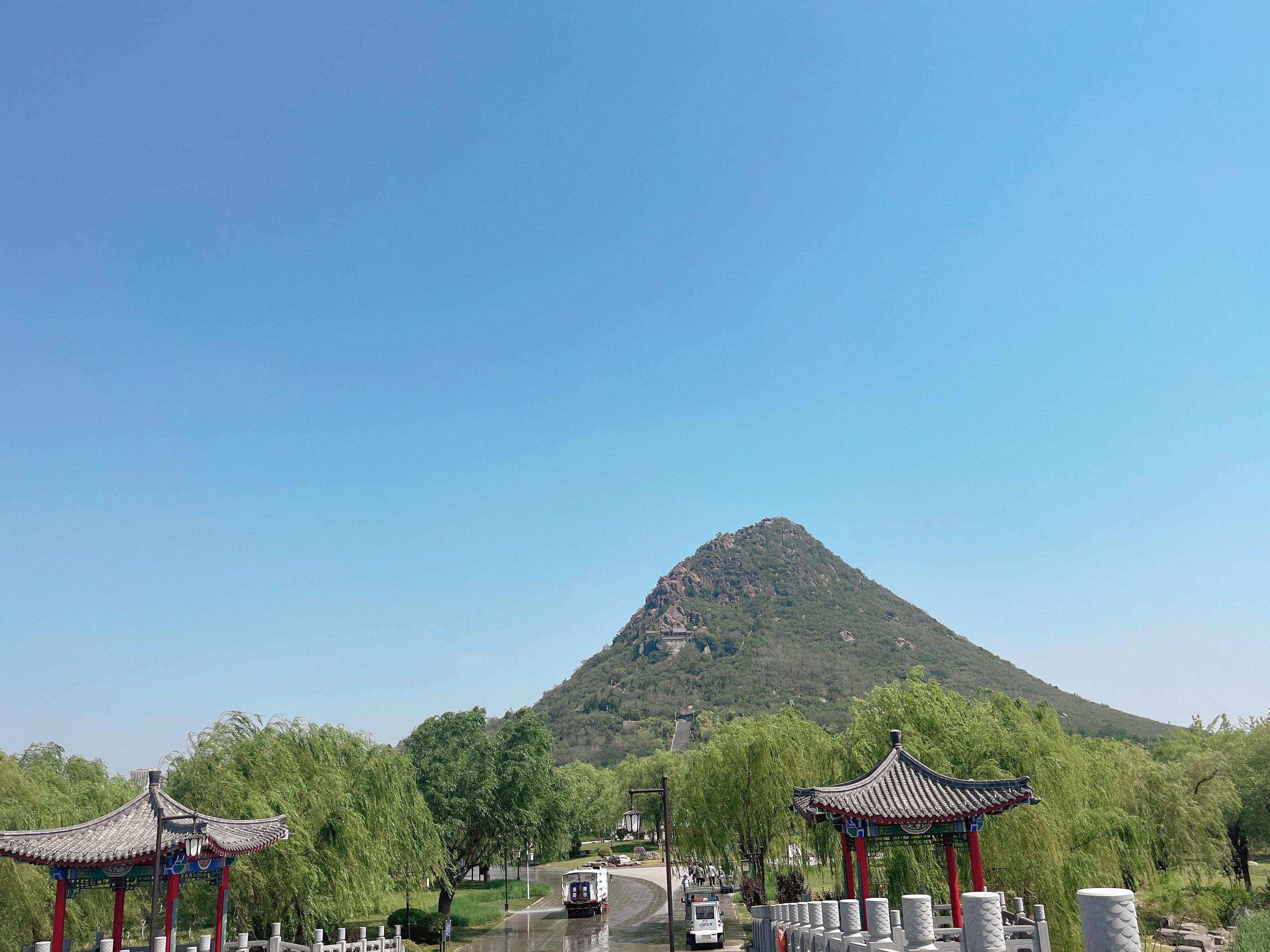 山东本科今年单物捡漏了