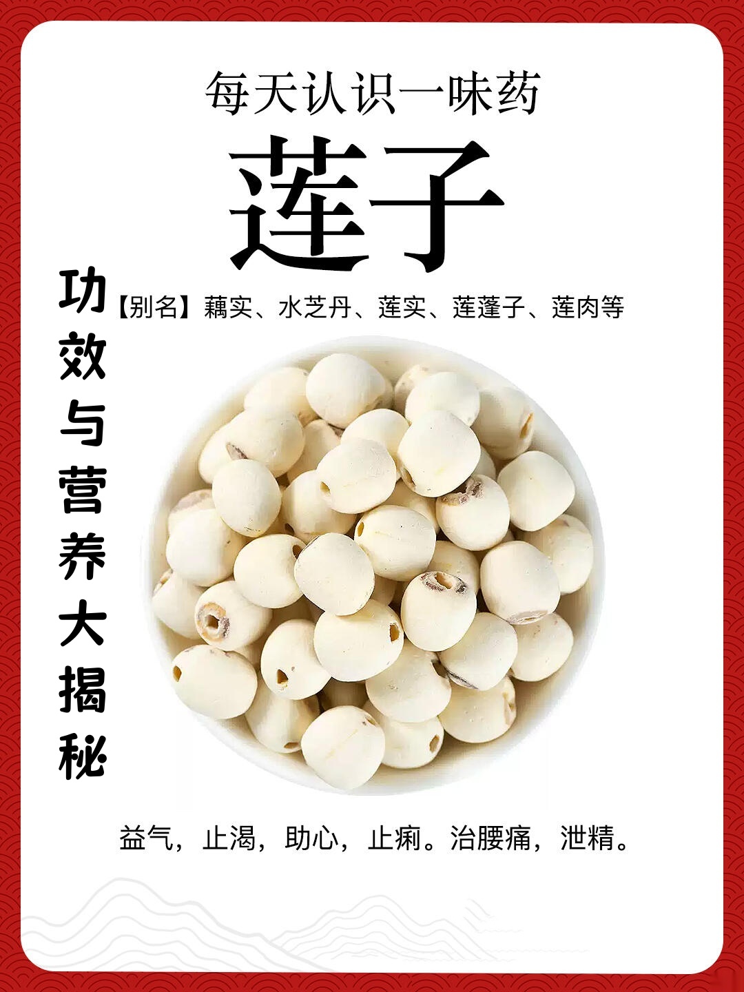 今天来聊聊养生好物莲子～