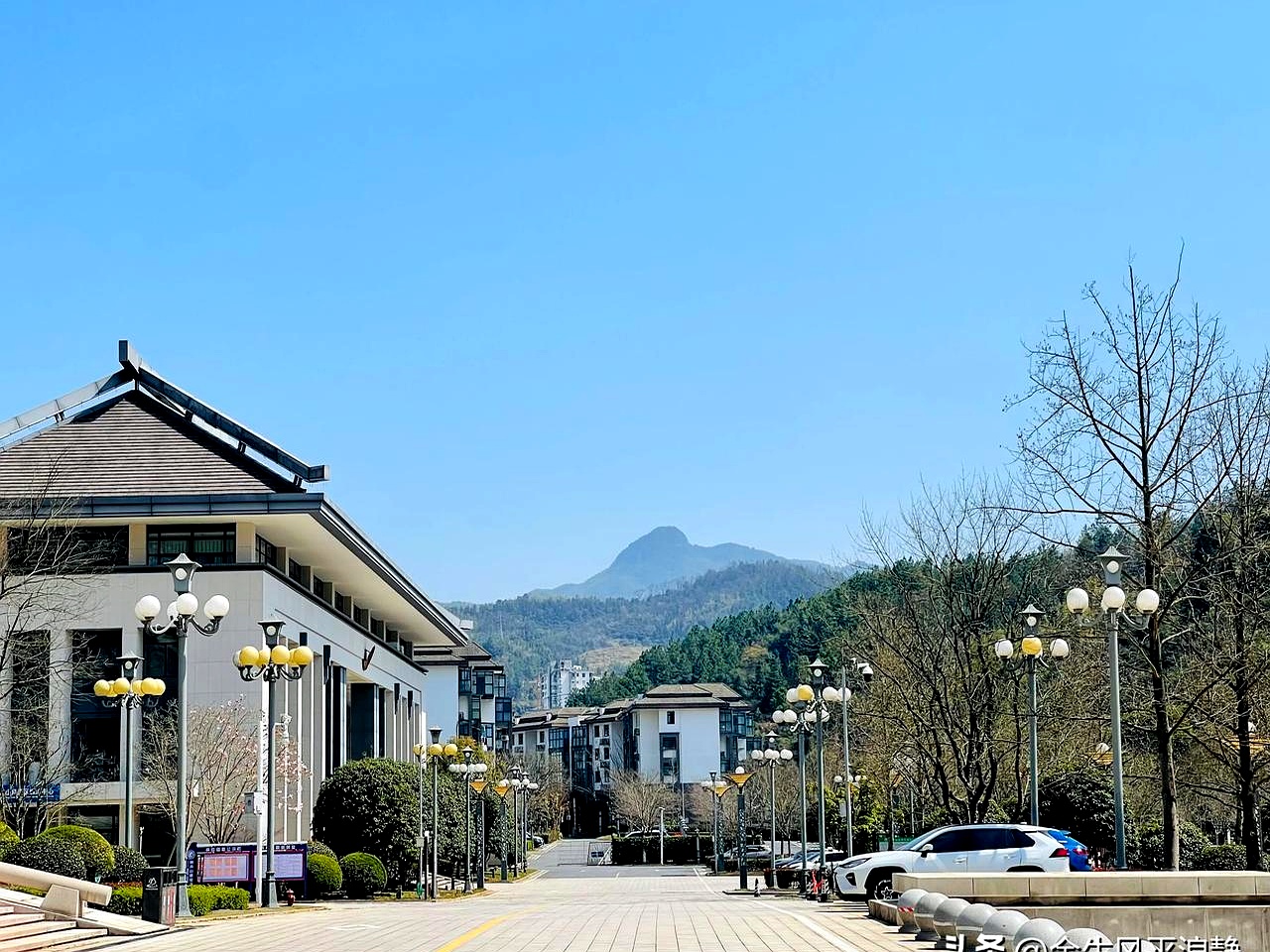 这段时间最开心的感受就是几十年的便秘怎么在无意