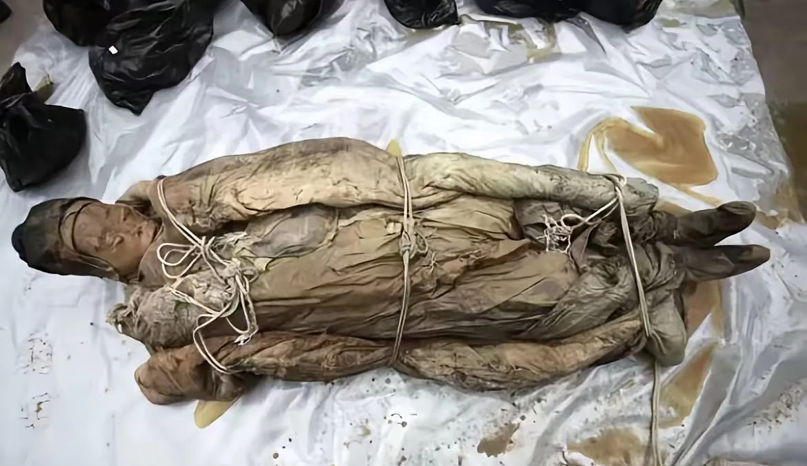 这事儿听起来真让人心里不是滋味