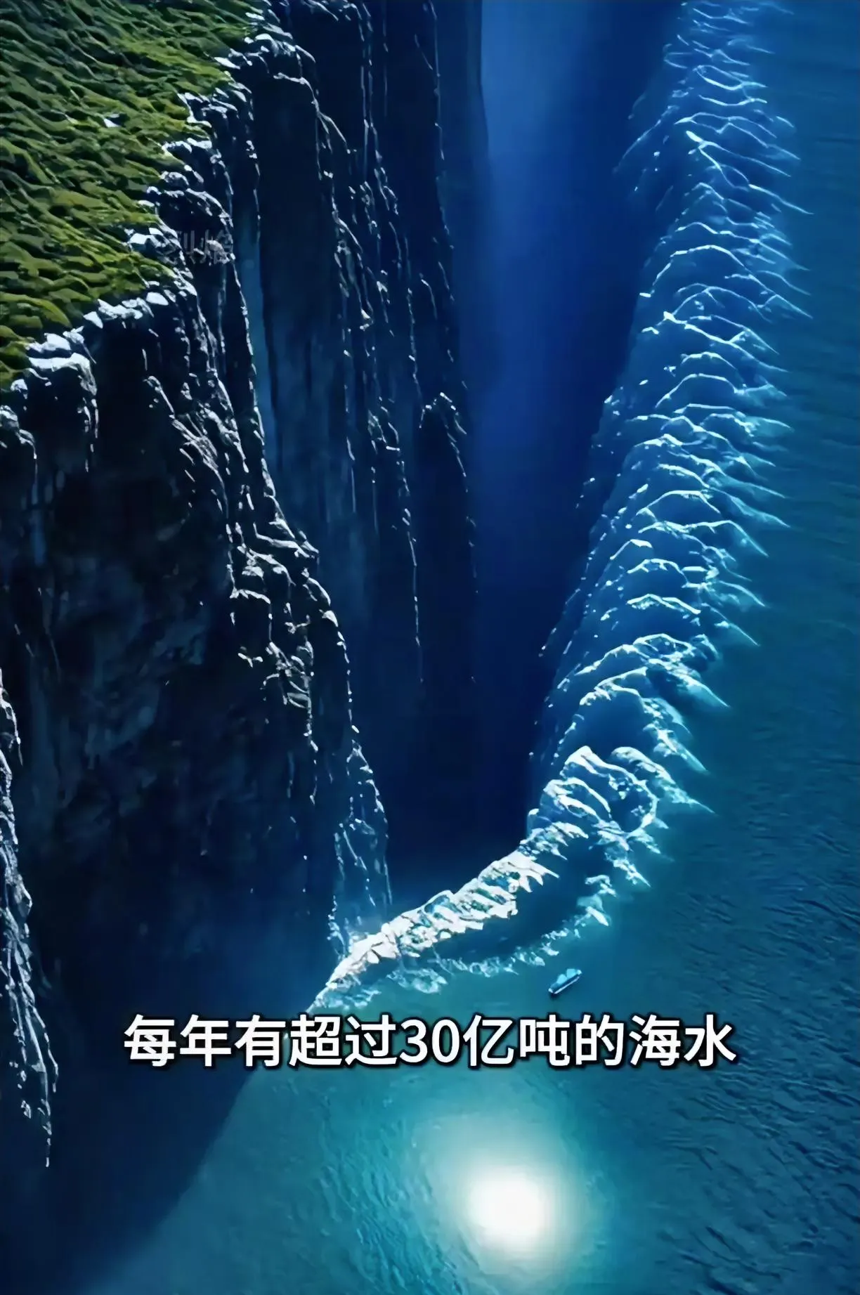 深海海底生命的源泉是什么(深海海底生命的源泉是什么地方)