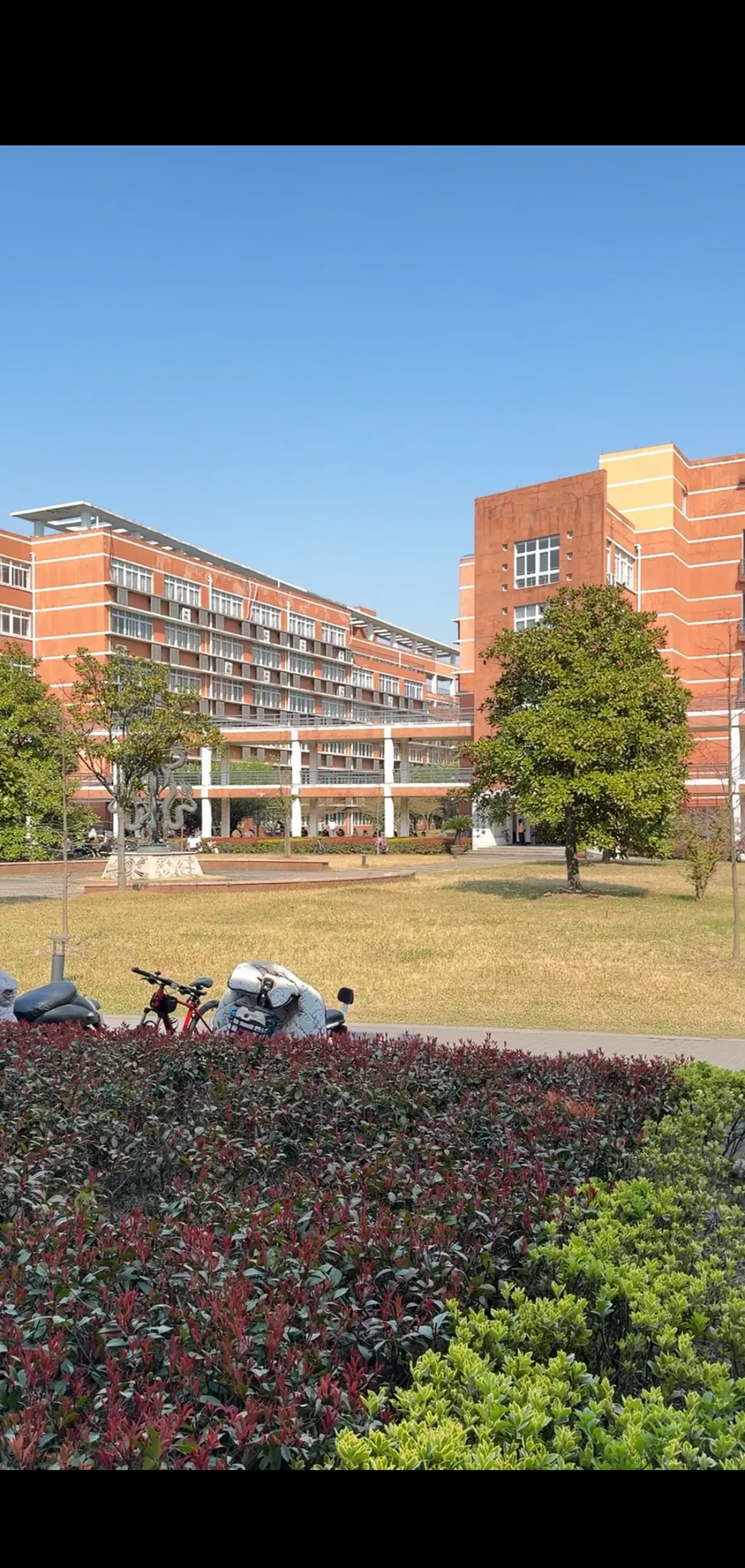 上周五,沿着河边溜达了三小时,终于决定对黄金加点仓