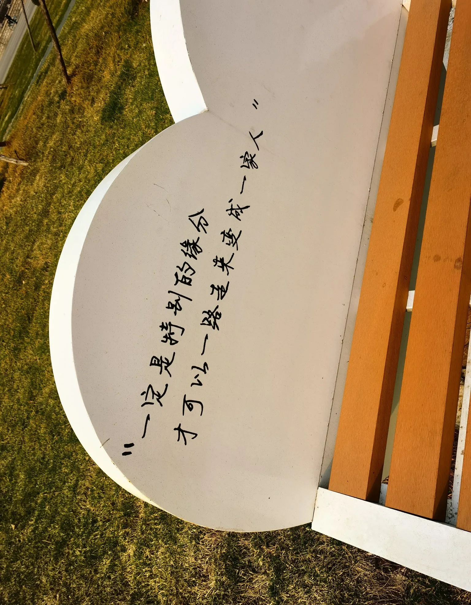 老婆侄女昨天订婚了,但是准女婿也令所有亲戚大跌眼镜