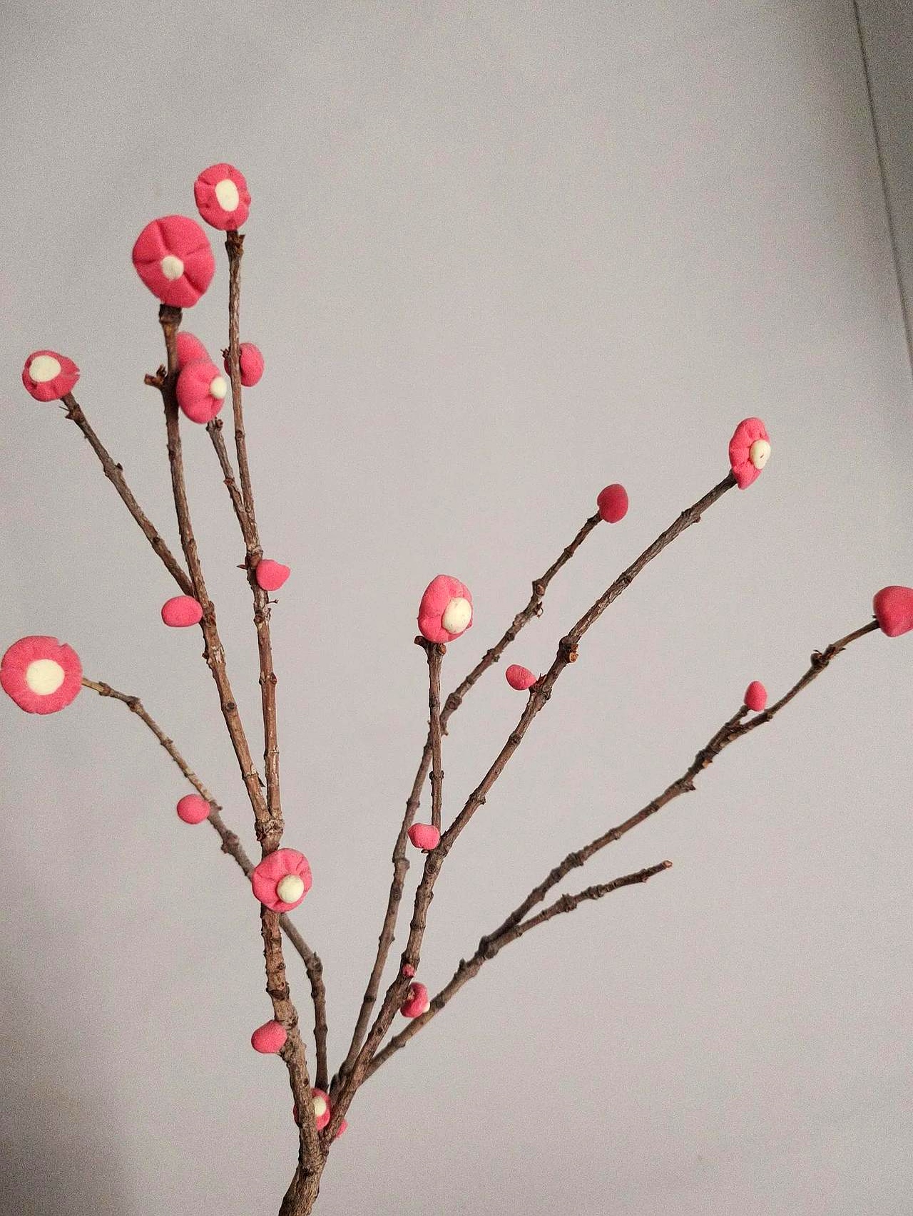 我爷爷在家里三兄弟中是最小的