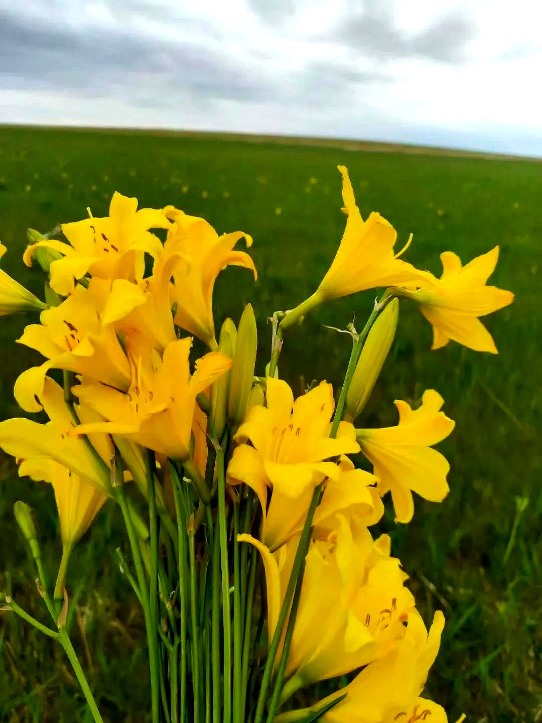 这种夫妻,你见过吗? 他们俩离婚后,女的再婚了,孩子也跟着女的