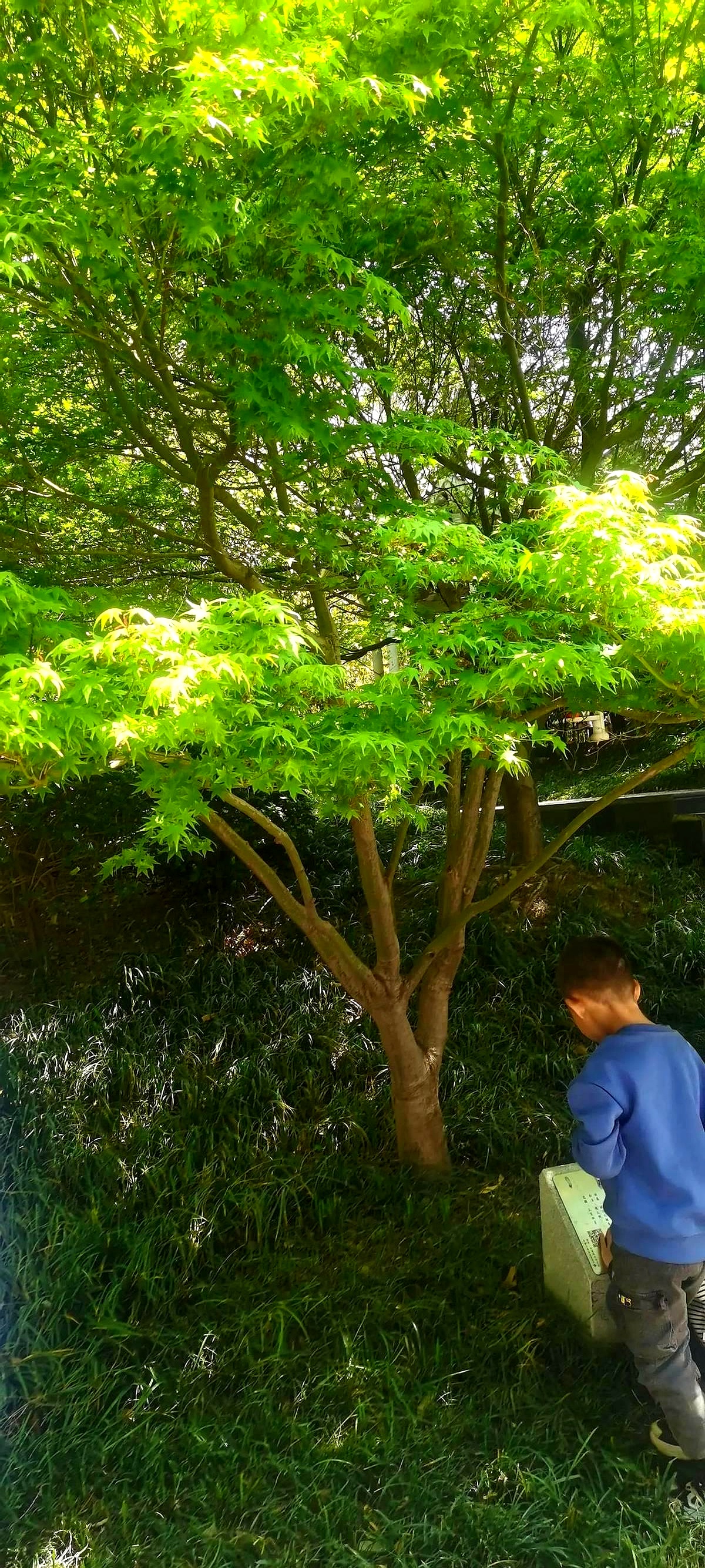 堂弟堂妹们做生意的,哪个不是手里揣着百八十万?