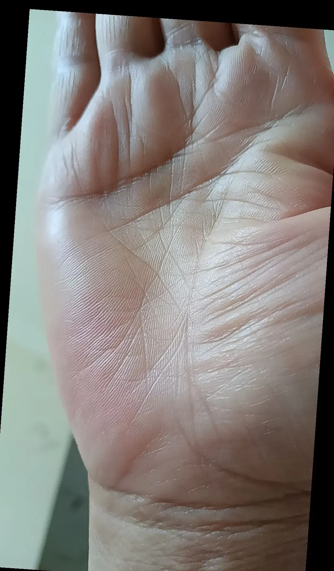 生命线尾端有两条分叉,一是意味着家族人丁兴旺,开枝散叶,根基牢固