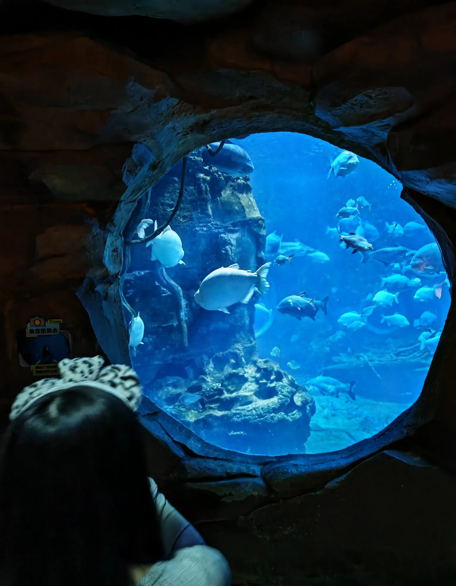 经济不景气会持续多久