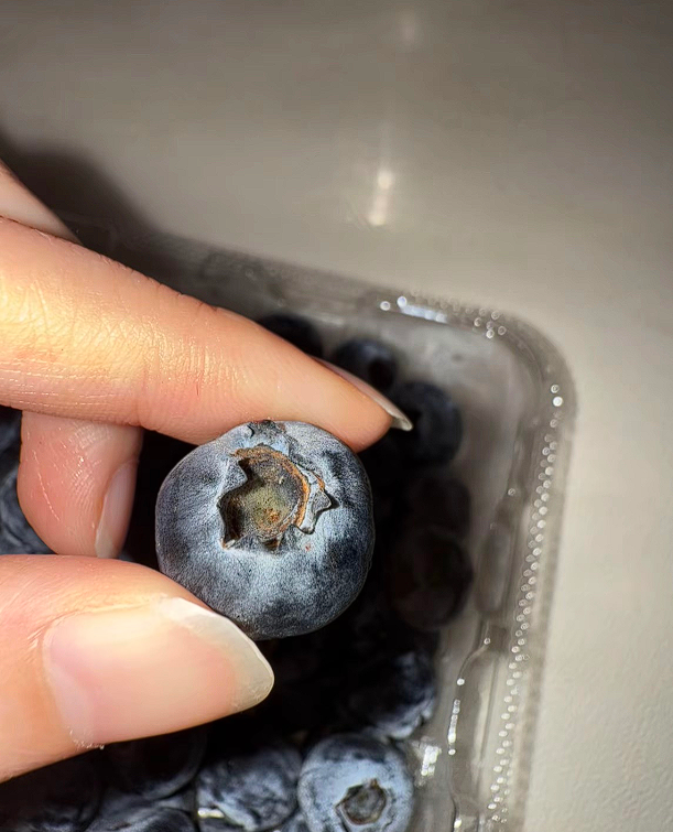 有网友称买的蓝莓小孔处有霉菌,大润发也被曝出售发霉蓝莓