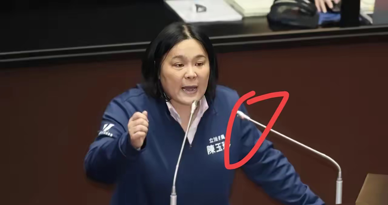 陈玉珍:大陆军机老是绕着台湾飞,问要不要打下来?当然要啊!