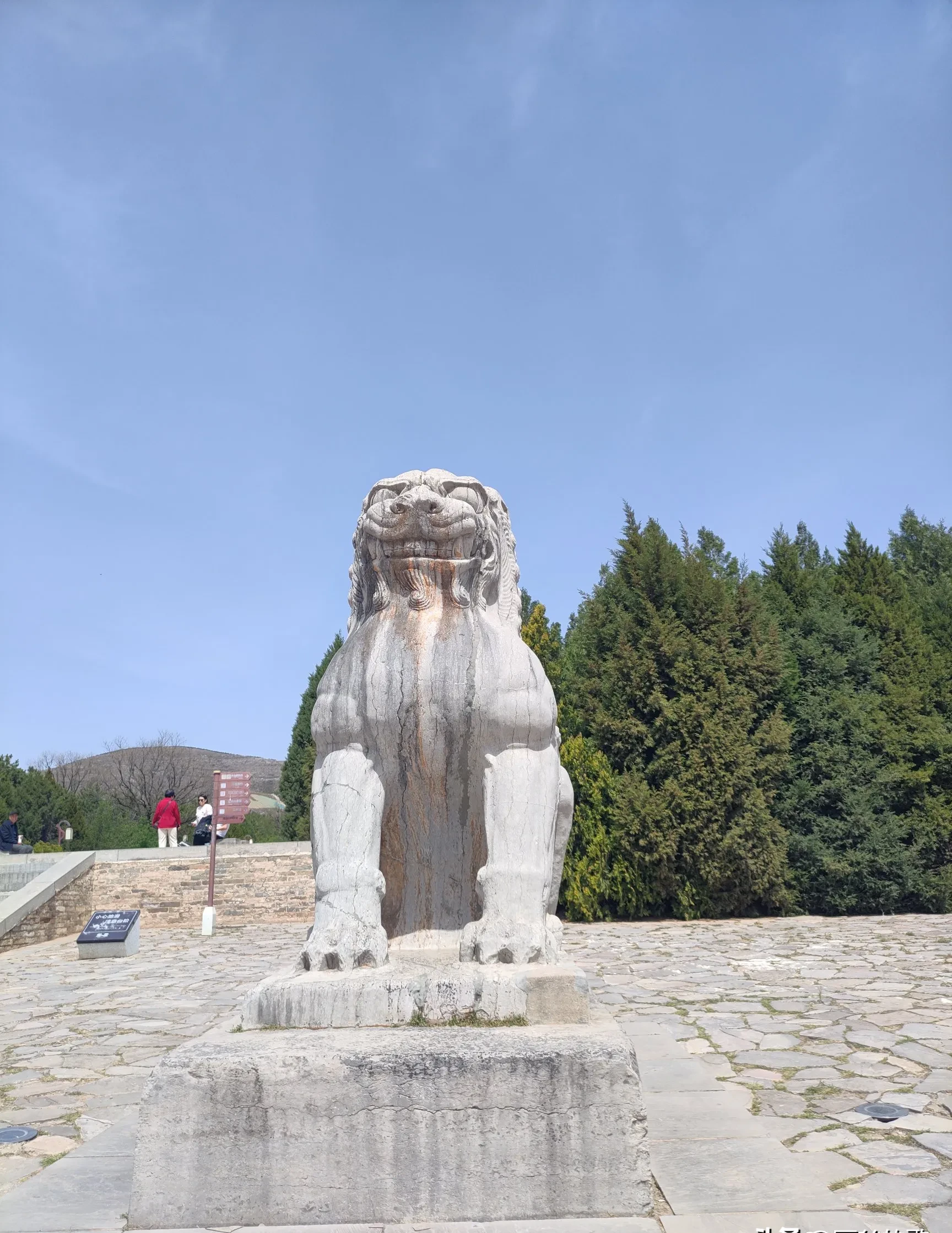 普通中产最苦闷最没办法的就是子女阶层下滑,虽然这