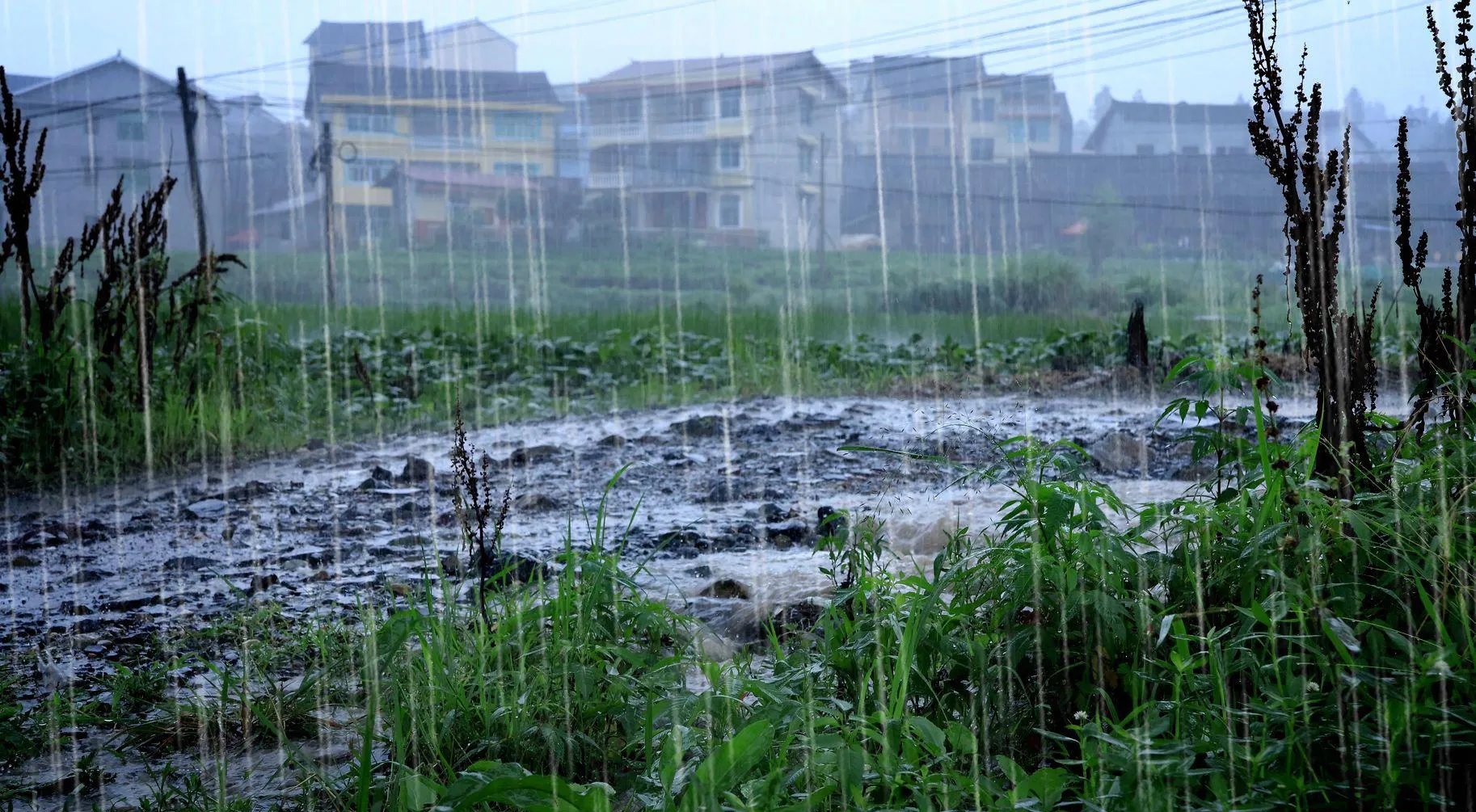 今天早上天还没亮,汉中上空乌云密布,七点钟