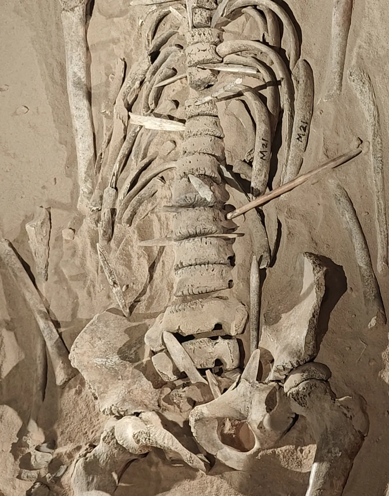 零口少女年纪1517岁,活在新石器时代,距今7300多年