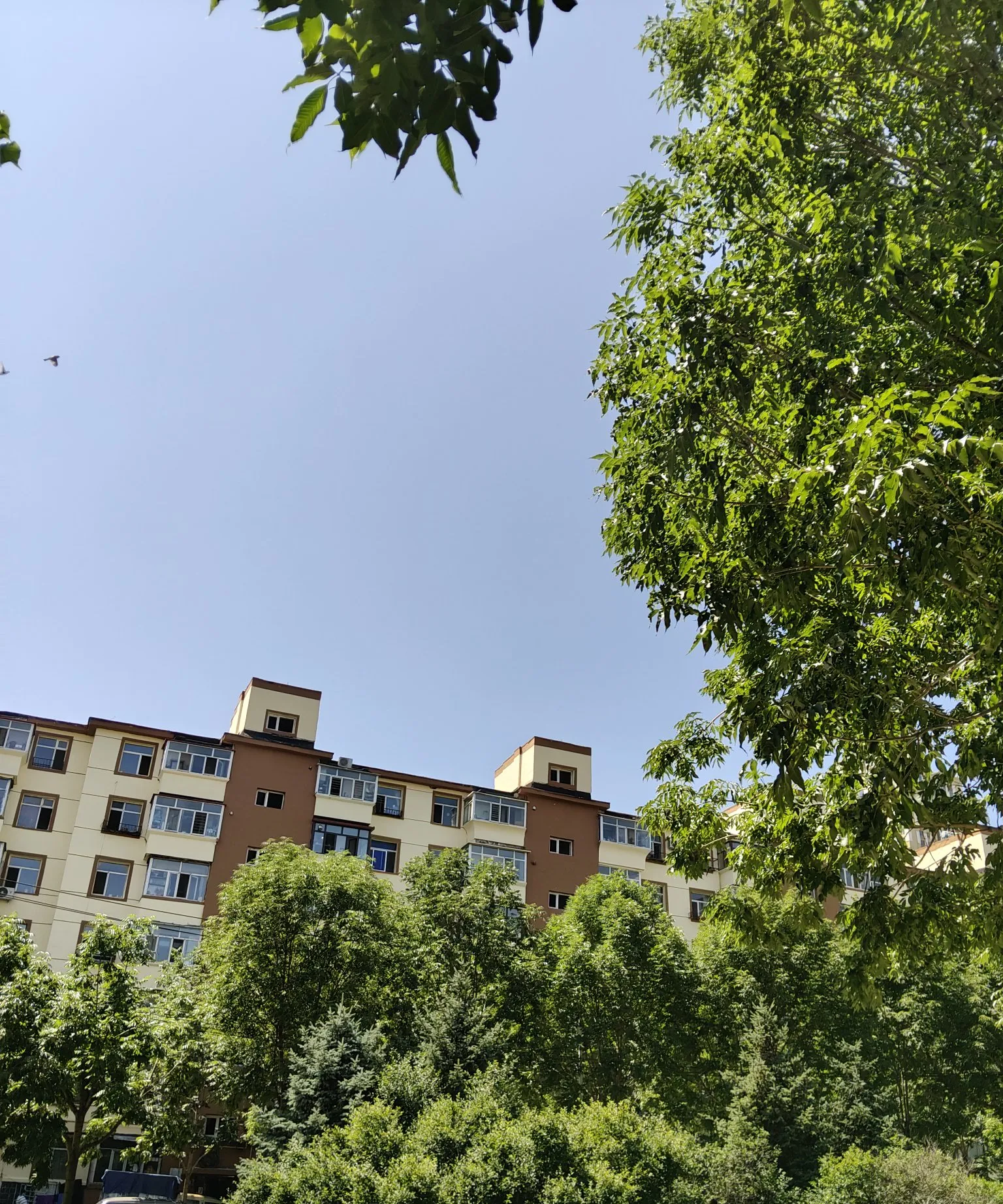 今天哈尔滨的天气预报