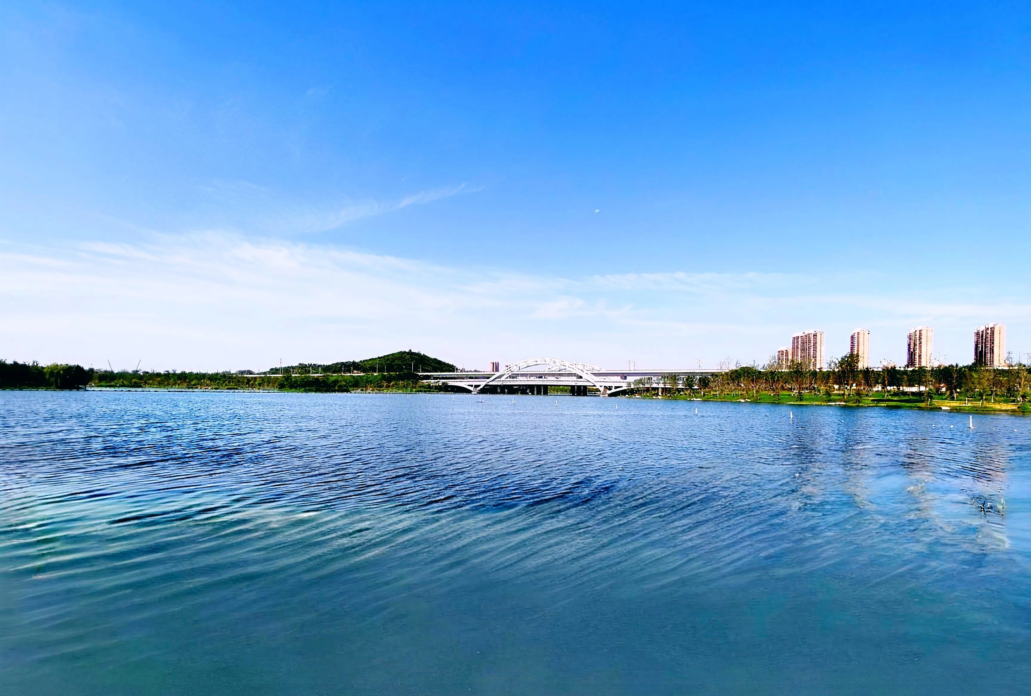 我今年67岁了,年龄大了,我常常会犯糊涂,或者说看