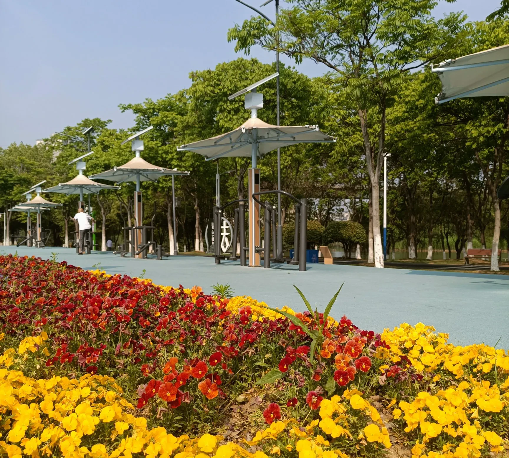 昨晚8点多,楼上又传来男人的吼叫和女人的哭声,不