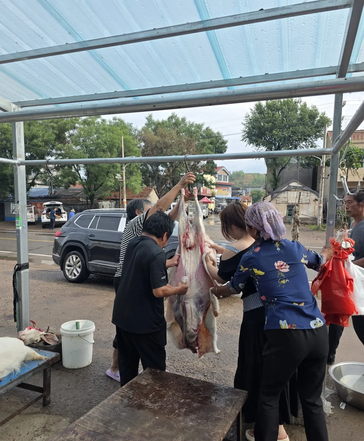 乡村叙事:跟二嫂赶集买羊肉包饺子,看到一个杀羊的小姑娘