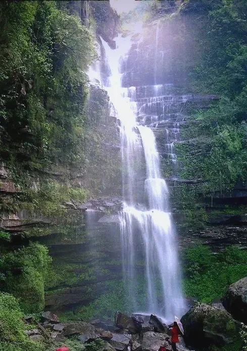 夏天去画稿溪自然保护区可真是太好玩了!