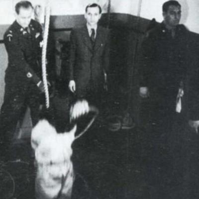 1948年寒冬,东京巢鸭监狱刑场,东条踉跄登上绞刑架,这个曾掌控日本