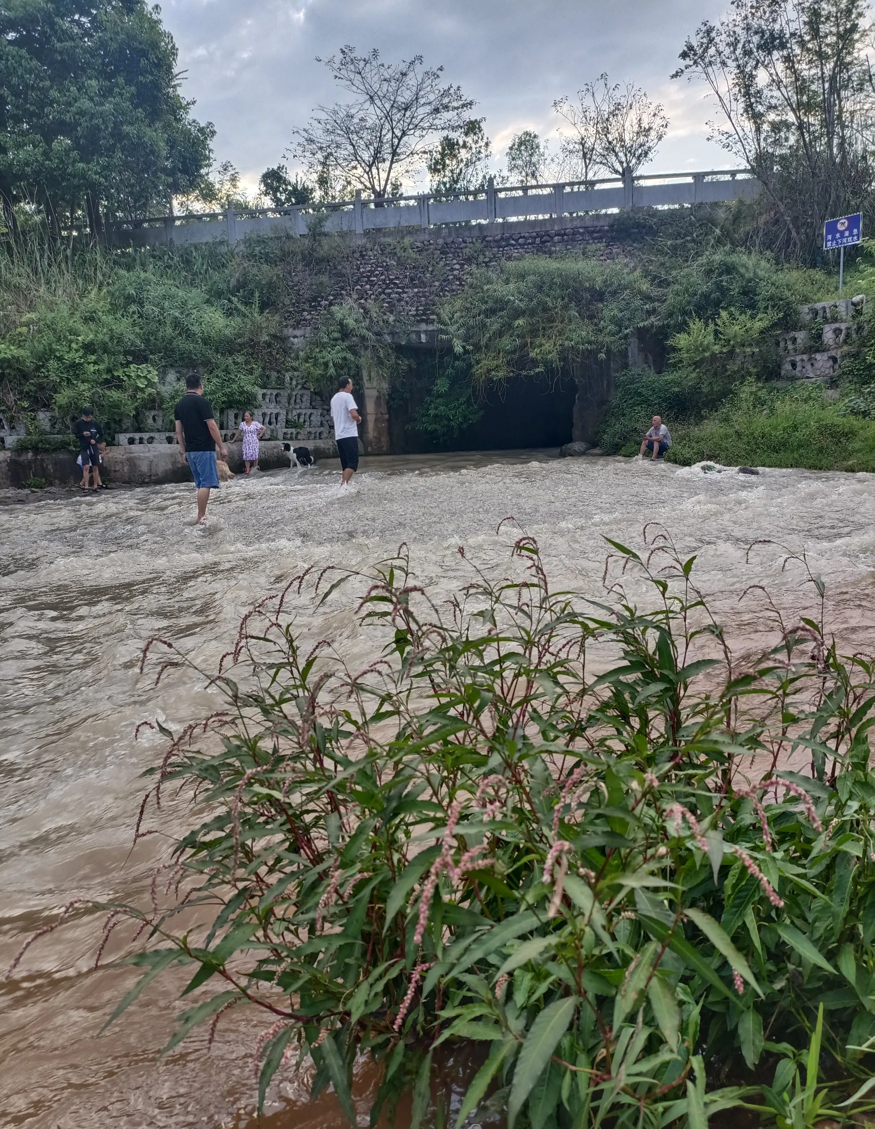 雅安市天全县天气马上知