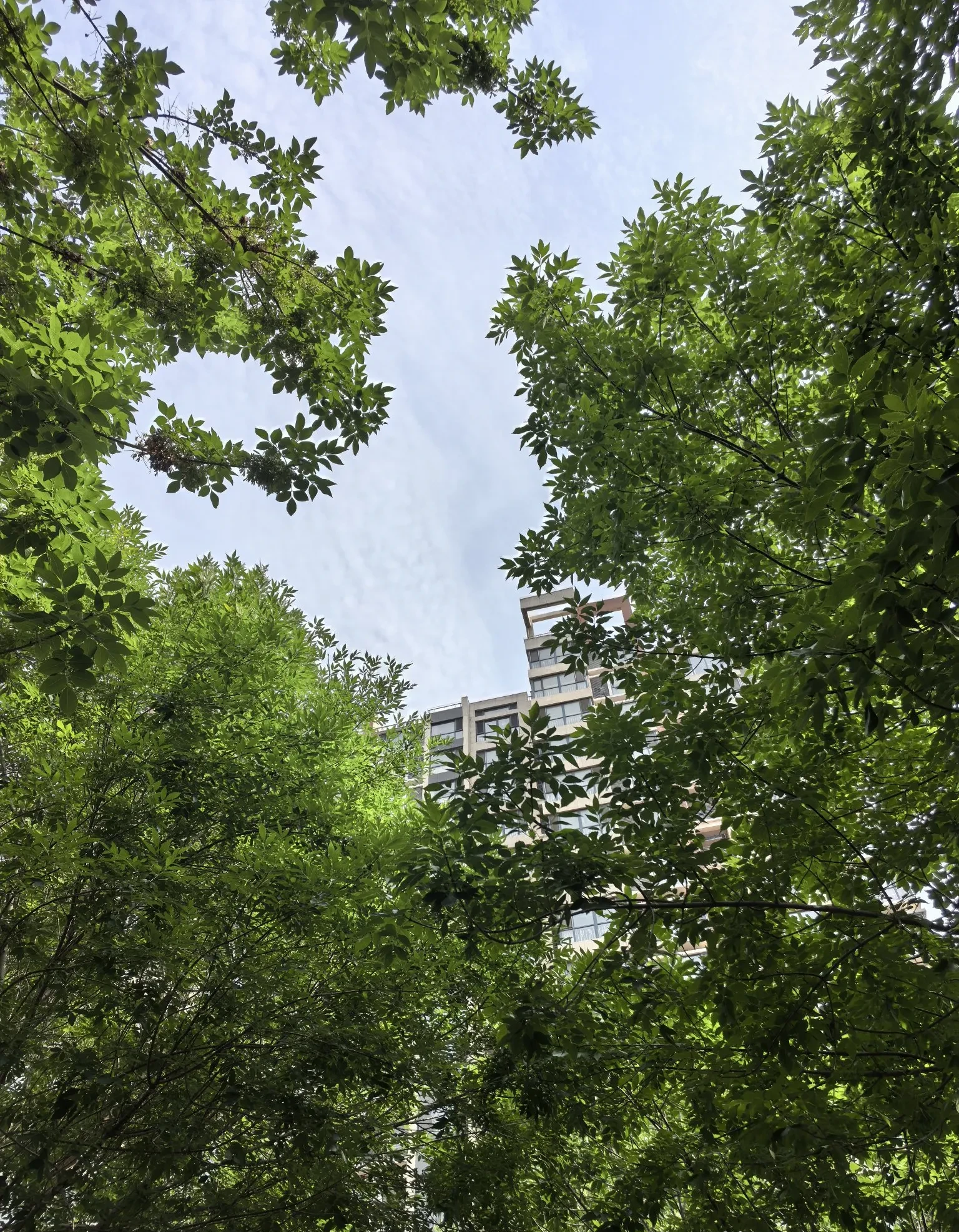 潍坊最新天气预报马上知