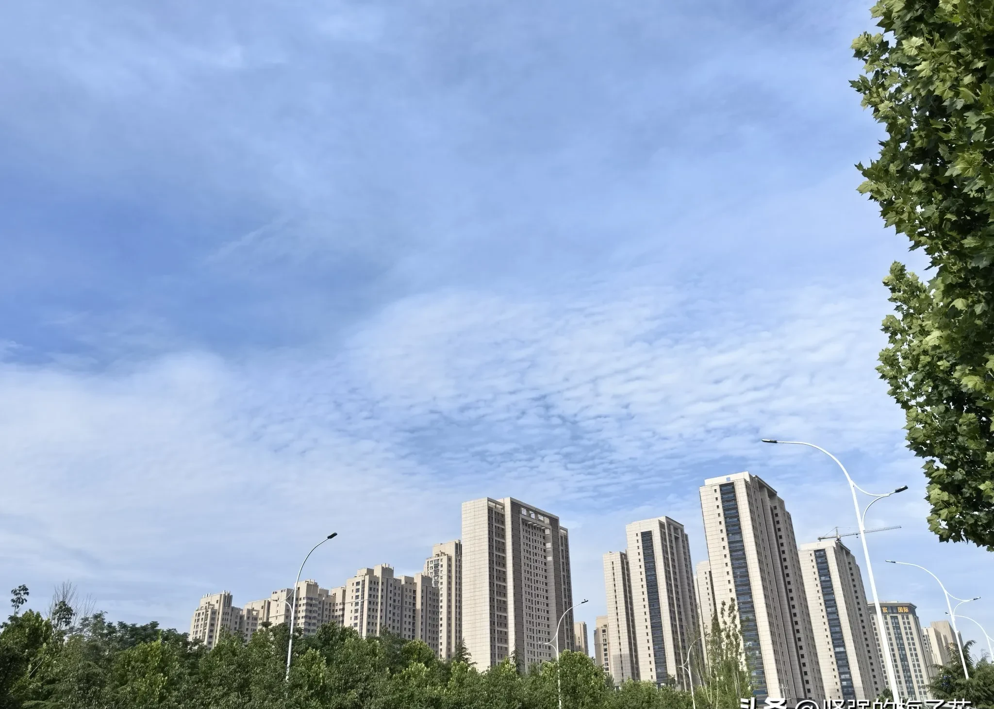 潍坊未来30天天气预报预报