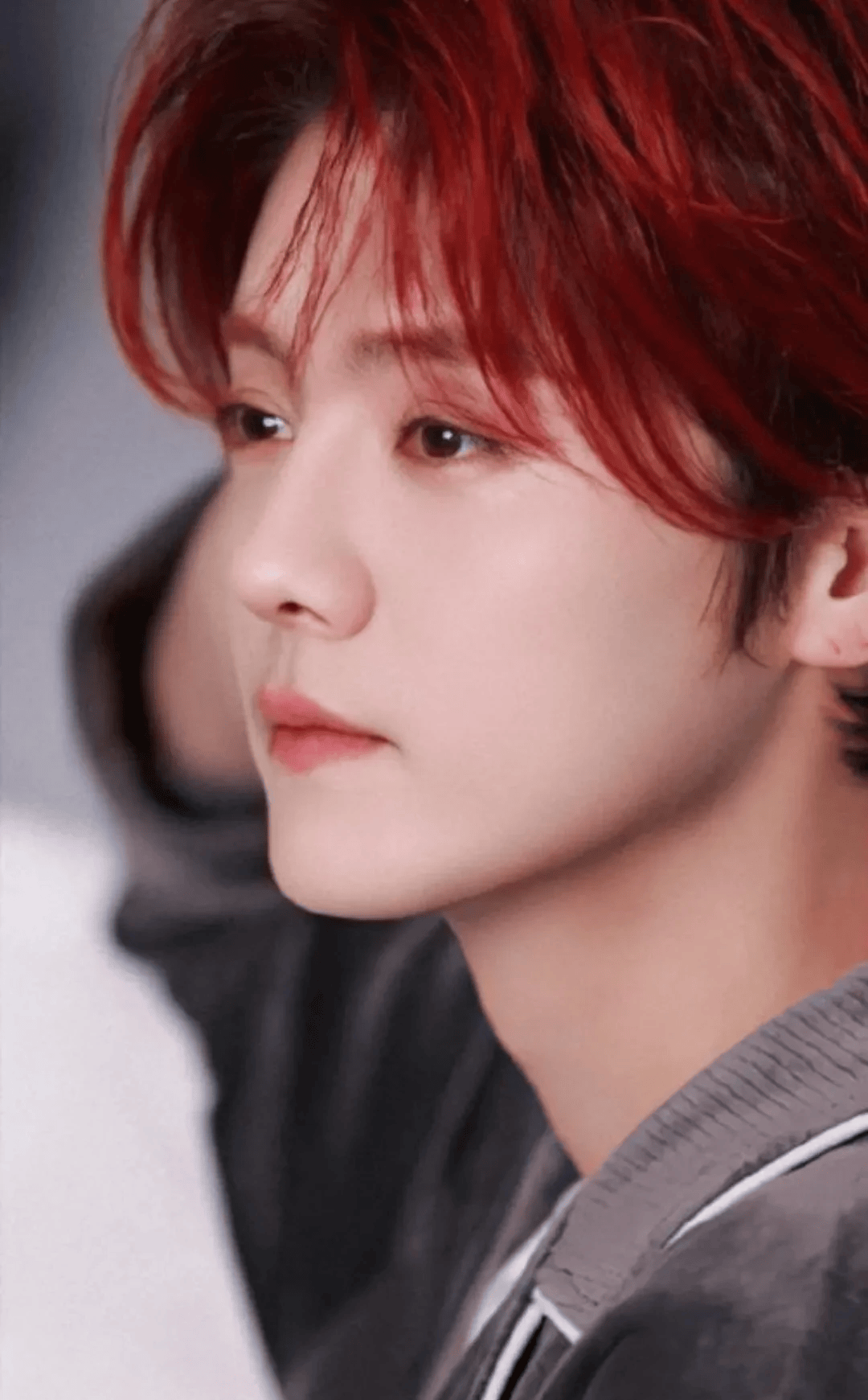 鹿晗开演唱会,粉丝看了却觉得心酸