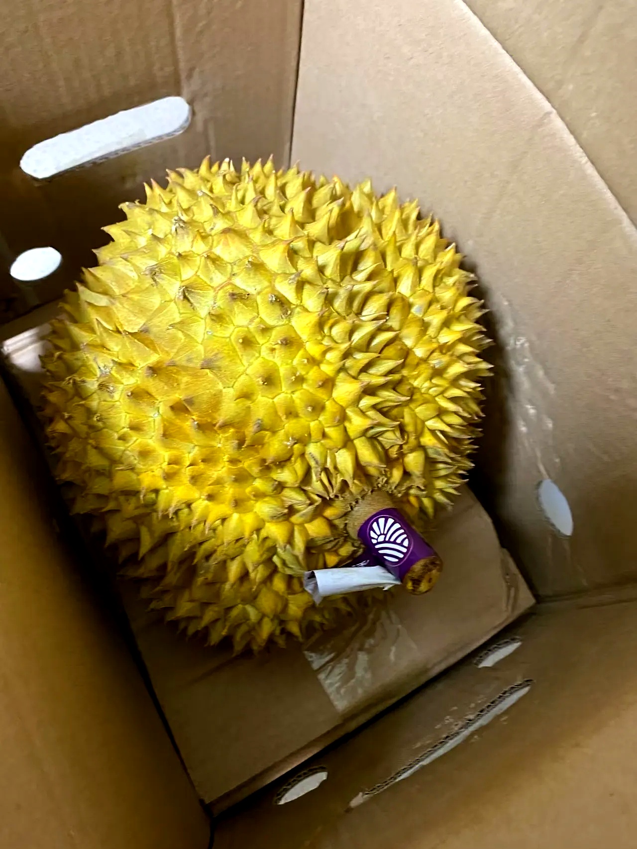 周末,我早早去了趟水果市场,特意挑了个熟透的大榴莲