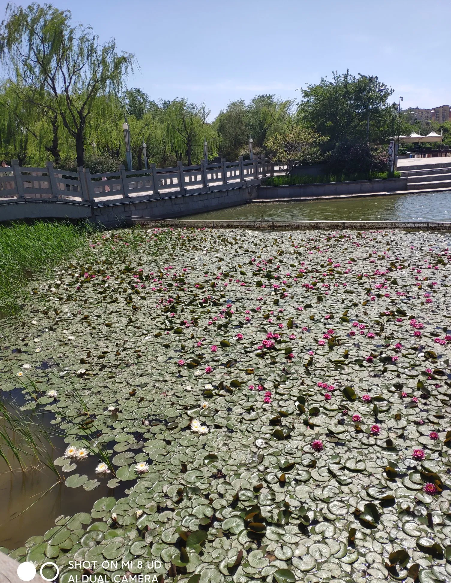 今天假期工资终于拿到了,结果竟然不是说好的那一千块