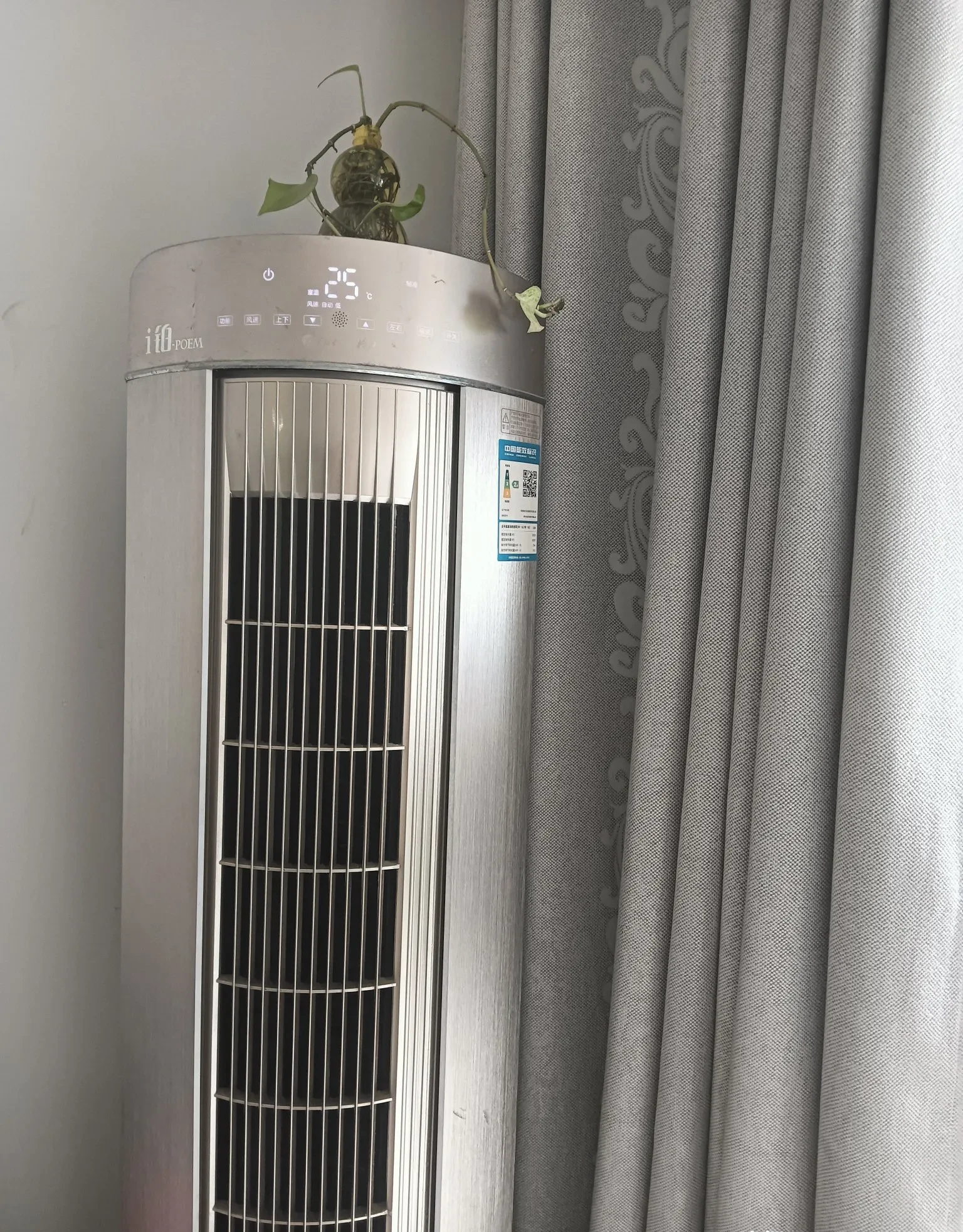 昨晚那场吵架,看来还是有点效果的