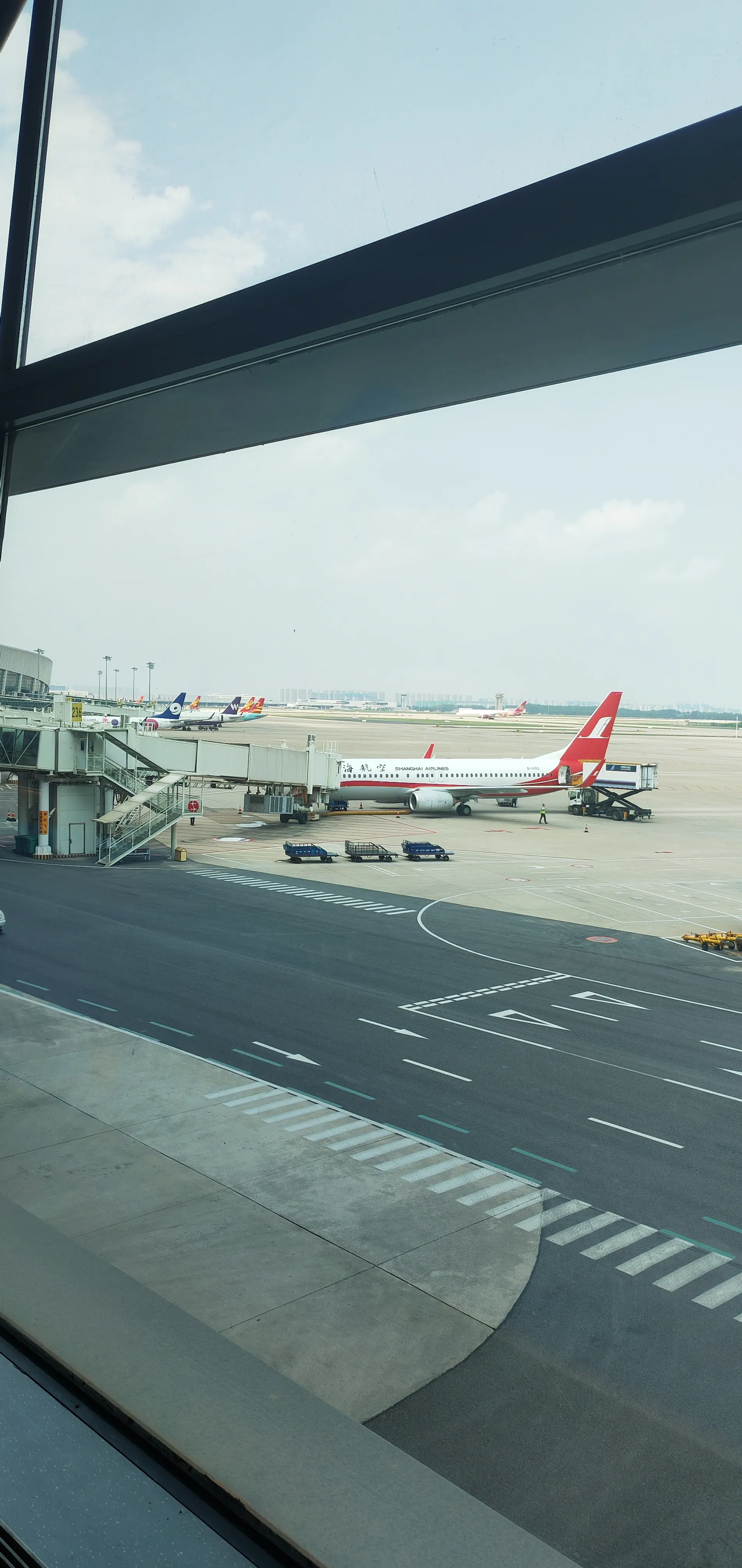 最后她拗不过家人,去见了一个小伙子