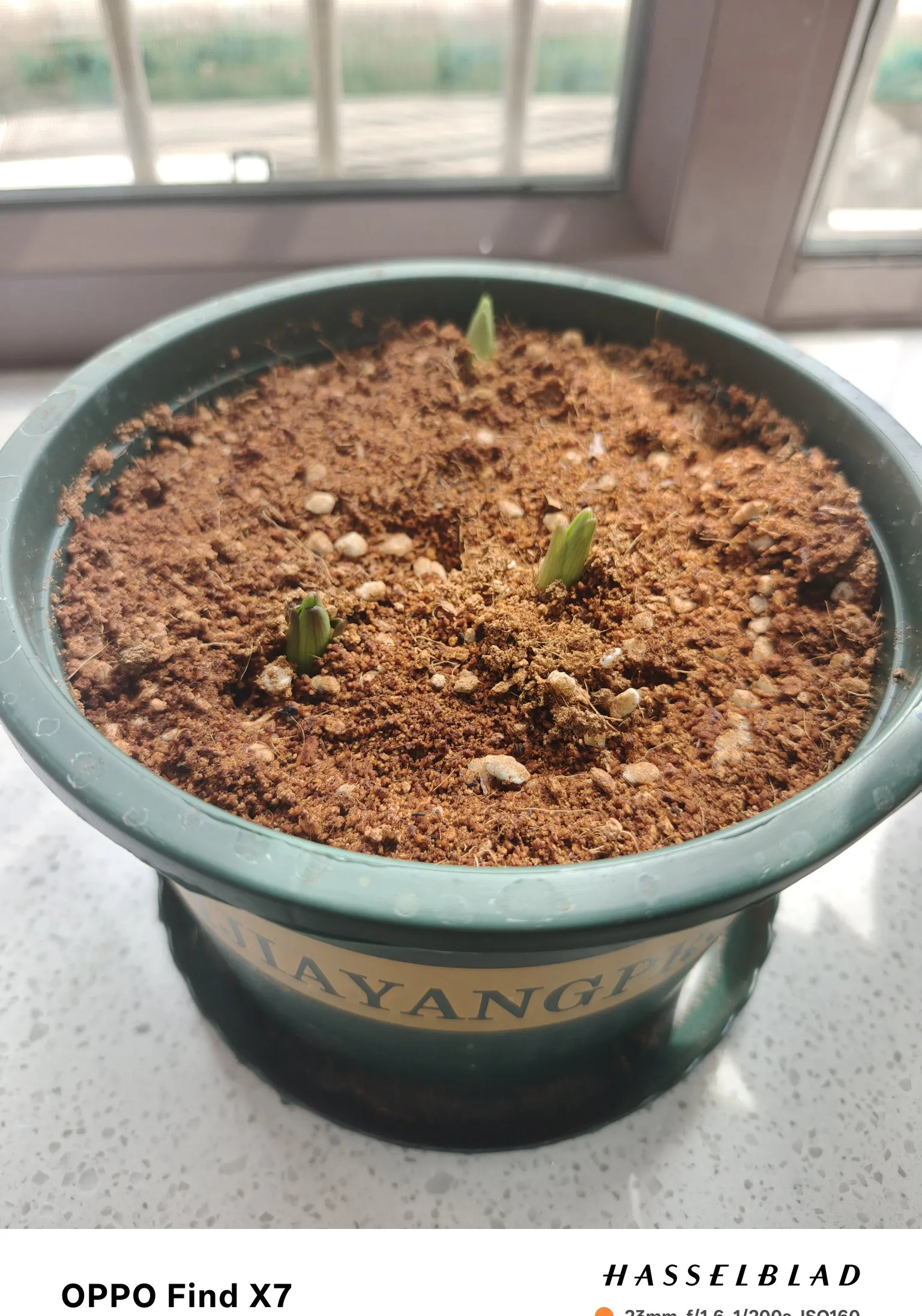 我以前也不信,看到的听到的都是那些大老板,大企业的故事